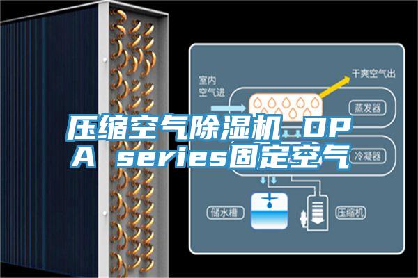 壓縮空氣PICACG哔咔官网入口 DPA series固定空氣