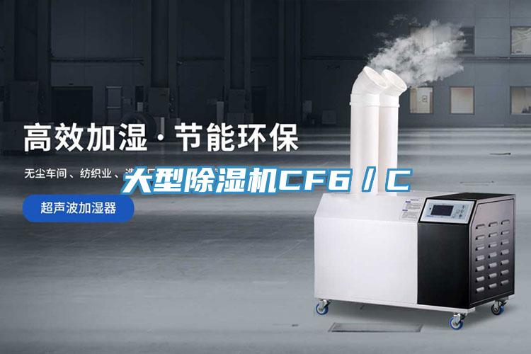 大型PICACG哔咔官网入口CF6／C