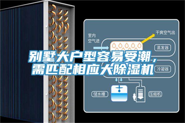 別墅大戶型容易受潮，需匹配相應大PICACG哔咔官网入口