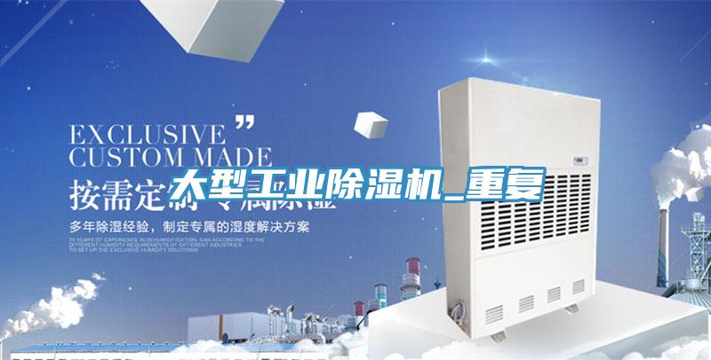 大型工業PICACG哔咔官网入口_重複