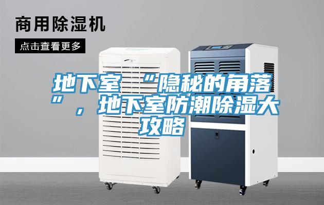 地下室≠“隱秘的角落”，地下室防潮除濕大攻略