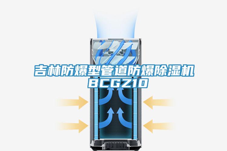 吉林防爆型管道防爆PICACG哔咔官网入口 BCGZ10