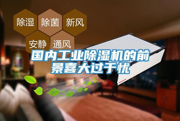 國內工業PICACG哔咔官网入口的前景喜大過於憂