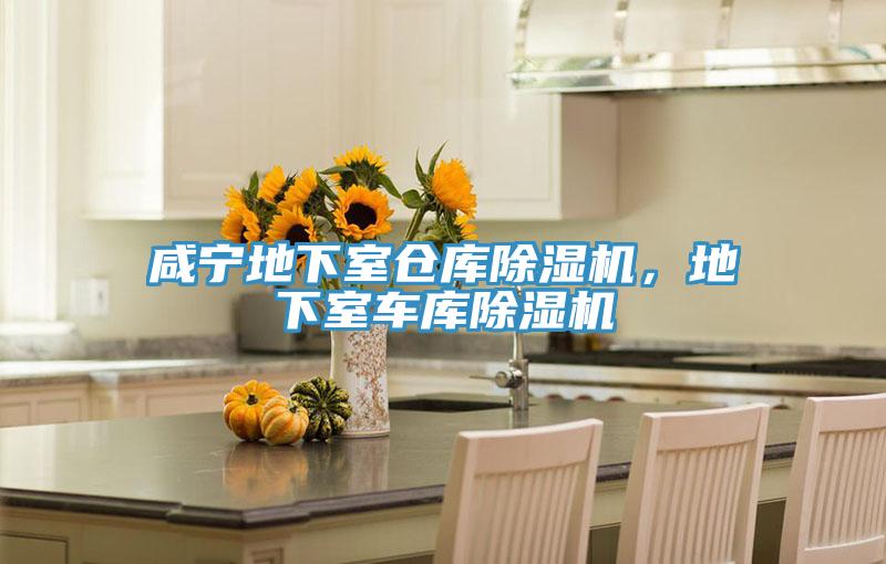 鹹寧地下室倉庫PICACG哔咔官网入口，地下室車庫PICACG哔咔官网入口