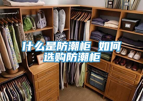 什麽是防潮櫃 如何選購防潮櫃