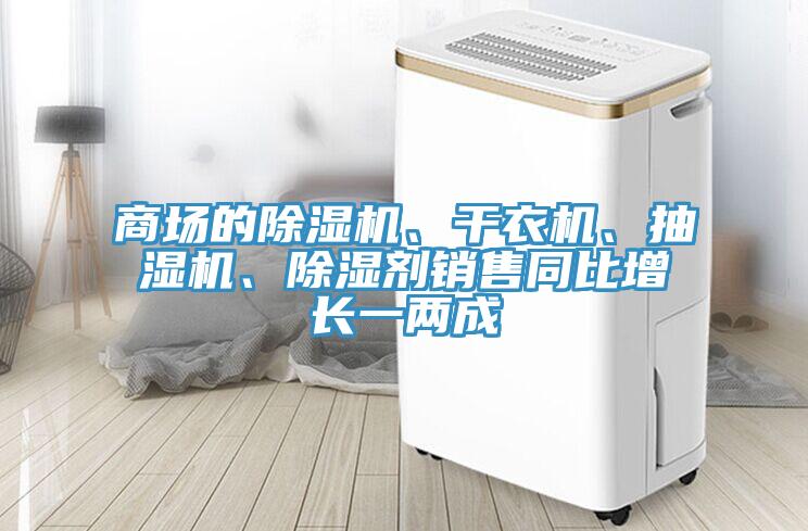 商場的PICACG哔咔官网入口、幹衣機、抽濕機、除濕劑銷售同比增長一兩成