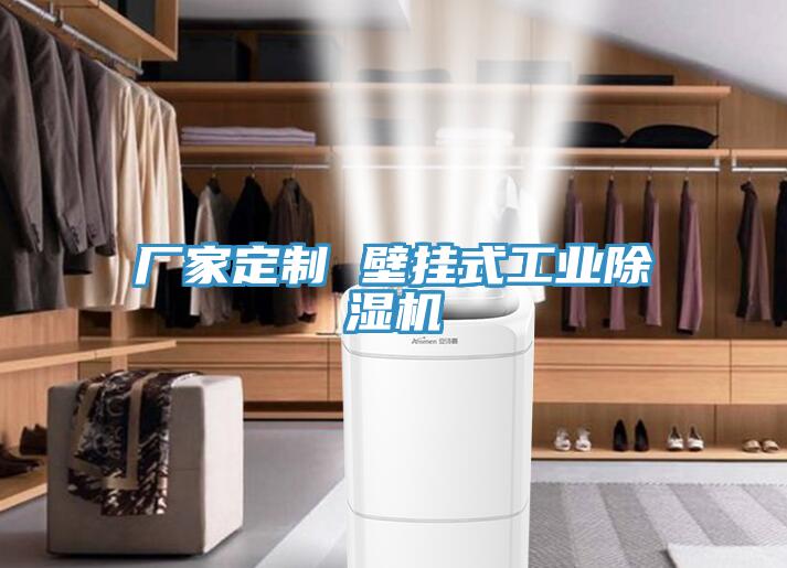 廠家定製 壁掛式工業PICACG哔咔官网入口