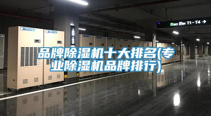 品牌PICACG哔咔官网入口十大排名(專業PICACG哔咔官网入口品牌排行)