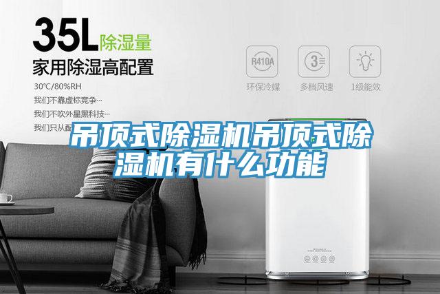 吊頂式PICACG哔咔官网入口吊頂式PICACG哔咔官网入口有什麽功能