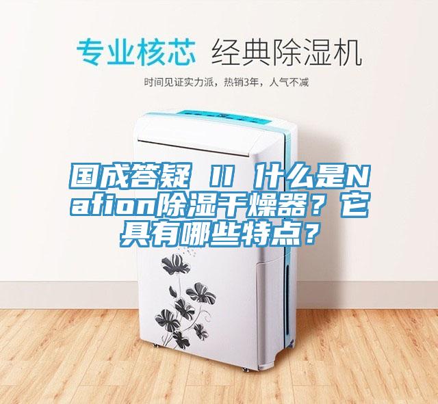 國成答疑 II 什麽是Nafion除濕幹燥器？它具有哪些特點？