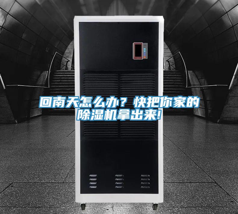 回南天怎麽辦？快把你家的PICACG哔咔官网入口拿出來!