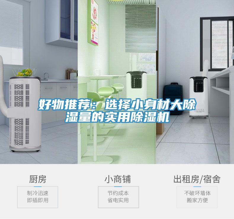 好物推薦：選擇小身材大除濕量的實用PICACG哔咔官网入口