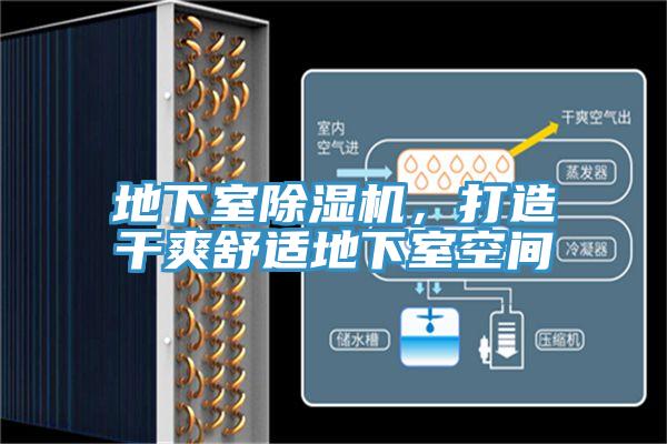 地下室PICACG哔咔官网入口，打造幹爽舒適地下室空間