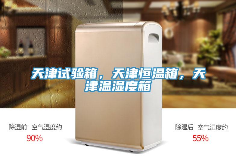 天津試驗箱，天津恒溫箱，天津溫濕度箱