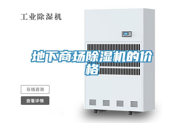 地下商場PICACG哔咔官网入口的價格