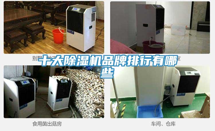 十大PICACG哔咔官网入口品牌排行有哪些