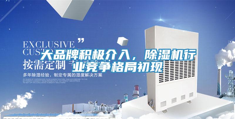 大品牌積極介入，PICACG哔咔官网入口行業競爭格局初現