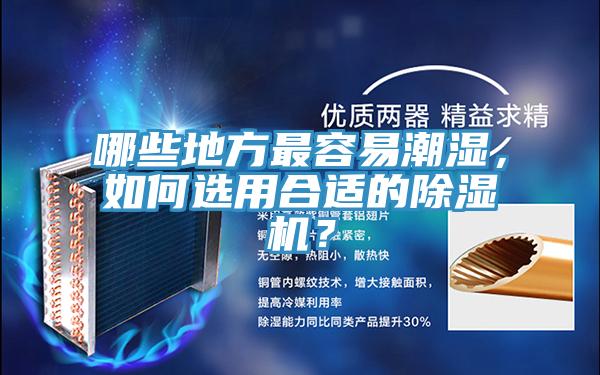 哪些地方最容易潮濕，如何選用合適的PICACG哔咔官网入口？