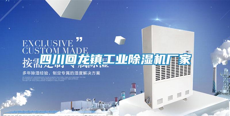 四川回龍鎮工業PICACG哔咔官网入口廠家