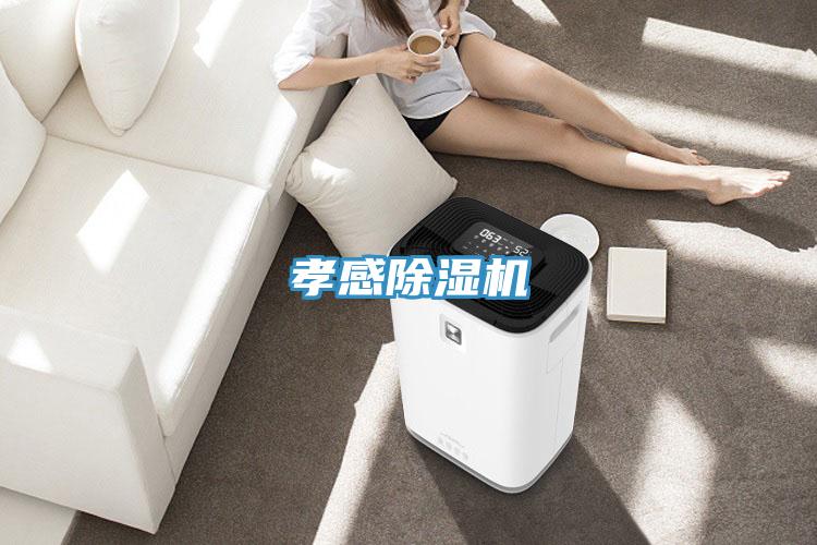 孝感PICACG哔咔官网入口