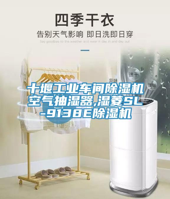 十堰工業車間PICACG哔咔官网入口空氣抽濕器,濕菱SL-9138EPICACG哔咔官网入口