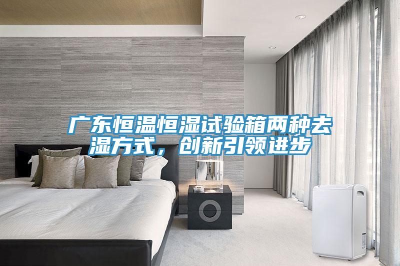 廣東恒溫恒濕試驗箱兩種去濕方式，創新引領進步