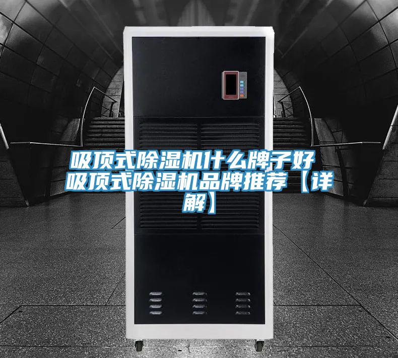 吸頂式PICACG哔咔官网入口什麽牌子好 吸頂式PICACG哔咔官网入口品牌推薦【詳解】