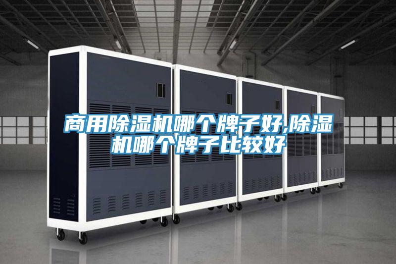 商用PICACG哔咔官网入口哪個牌子好,PICACG哔咔官网入口哪個牌子比較好