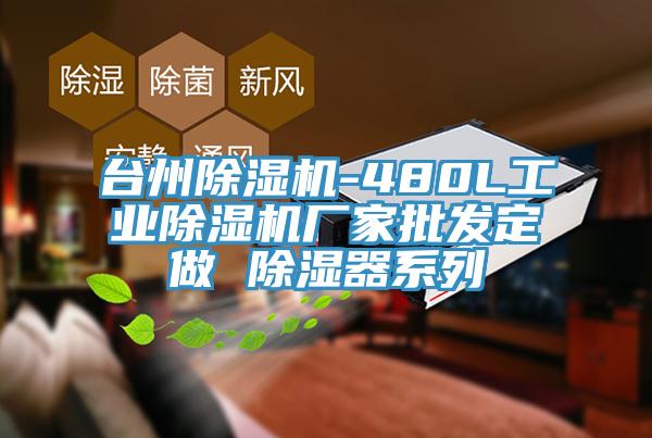台州PICACG哔咔官网入口-480L工業PICACG哔咔官网入口廠家批發定做 除濕器係列