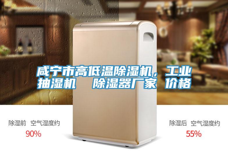 鹹寧市高低溫PICACG哔咔官网入口，工業抽濕機  除濕器廠家 價格