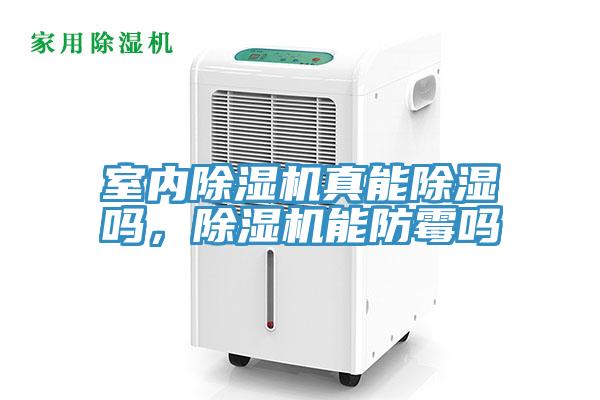 室內PICACG哔咔官网入口真能除濕嗎，PICACG哔咔官网入口能防黴嗎