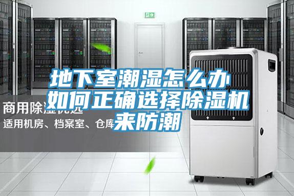 地下室潮濕怎麽辦 如何正確選擇PICACG哔咔官网入口來防潮