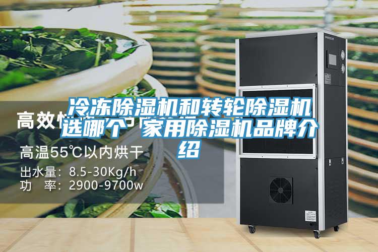 冷凍PICACG哔咔官网入口和轉輪PICACG哔咔官网入口選哪個 家用PICACG哔咔官网入口品牌介紹