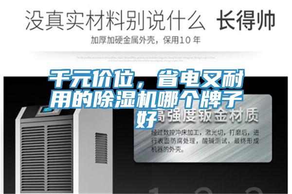 千元價位，省電又耐用的PICACG哔咔官网入口哪個牌子好