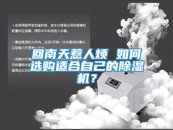 回南天惹人煩 如何選購適合自己的PICACG哔咔官网入口？