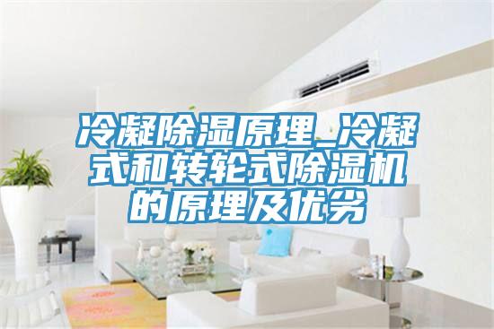冷凝除濕原理_冷凝式和轉輪式PICACG哔咔官网入口的原理及優劣