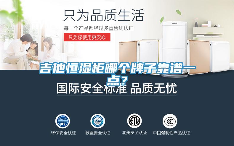 吉他恒濕櫃哪個牌子靠譜一點？