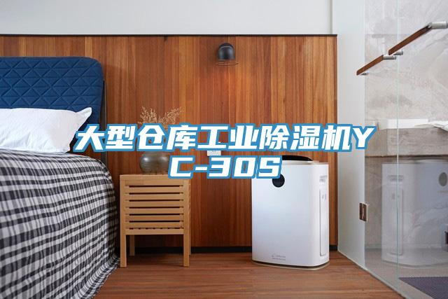 大型倉庫工業PICACG哔咔官网入口YC-30S