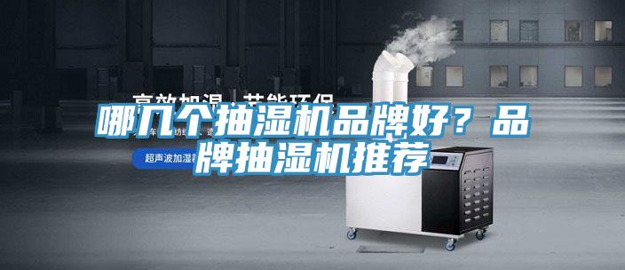 哪幾個抽濕機品牌好？品牌抽濕機推薦