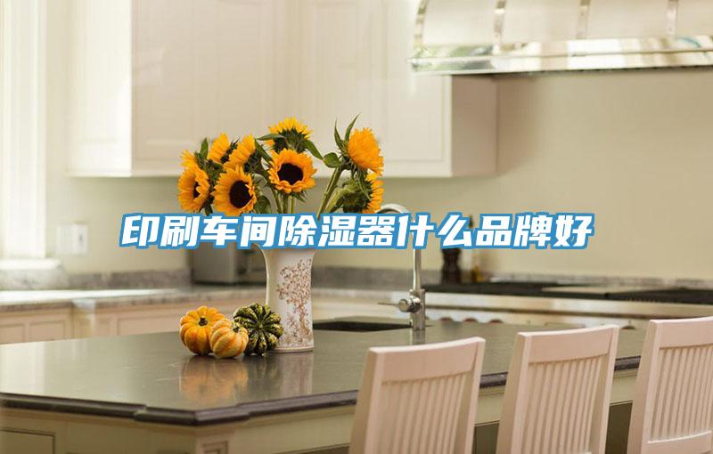 印刷車間除濕器什麽品牌好