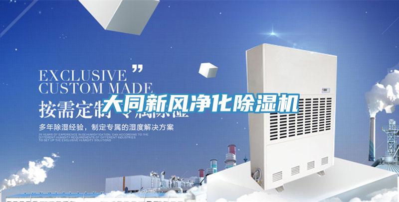 大同新風淨化PICACG哔咔官网入口