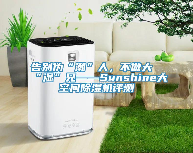 告別偽“潮”人，不做大“濕”兄——Sunshine大空間PICACG哔咔官网入口評測