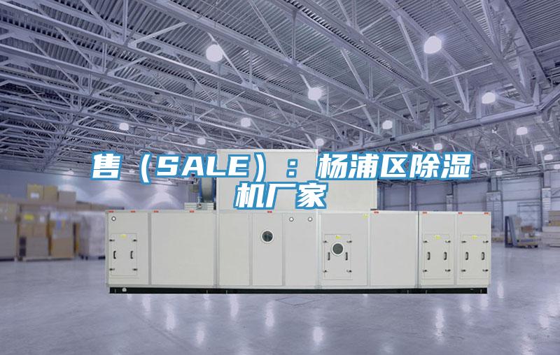 售（SALE）：楊浦區PICACG哔咔官网入口廠家