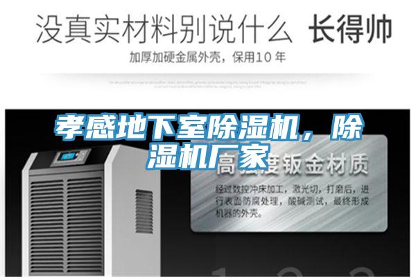 孝感地下室PICACG哔咔官网入口，PICACG哔咔官网入口廠家