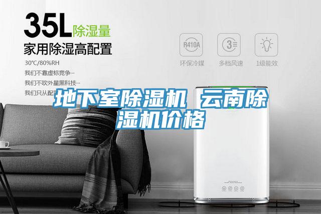 地下室PICACG哔咔官网入口 雲南PICACG哔咔官网入口價格