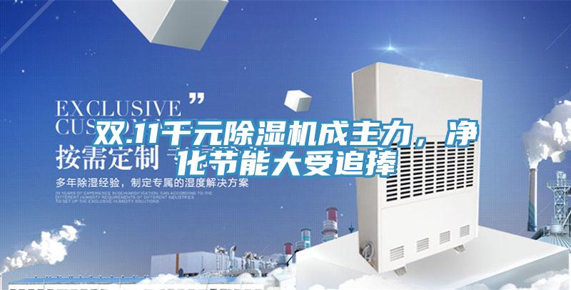 雙.11千元PICACG哔咔官网入口成主力，淨化節能大受追捧