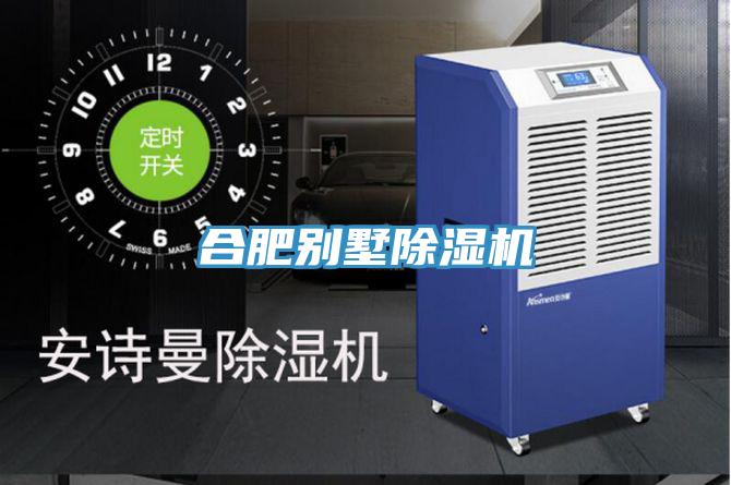 合肥別墅PICACG哔咔官网入口