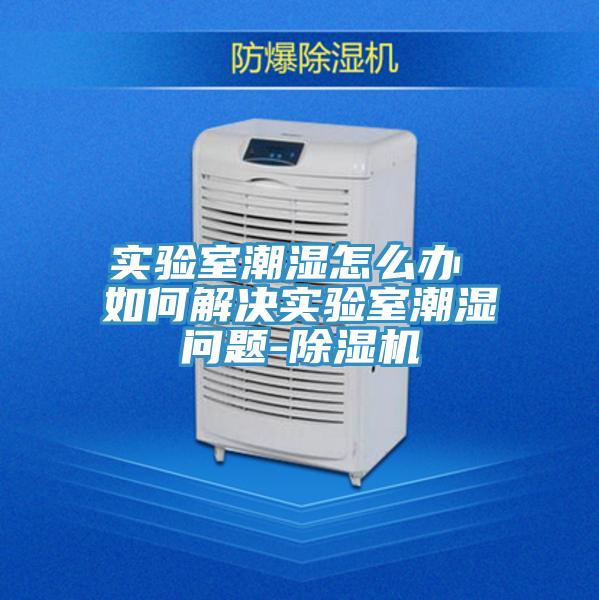 實驗室潮濕怎麽辦 如何解決實驗室潮濕問題-PICACG哔咔官网入口