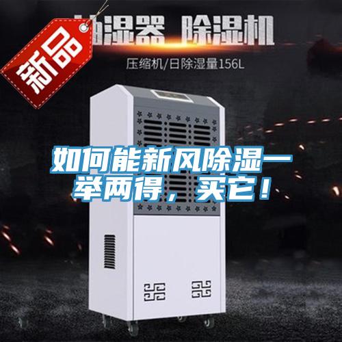 如何能新風除濕一舉兩得，買它！