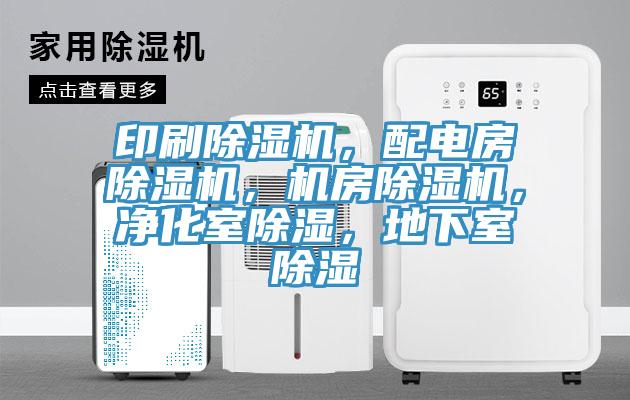 印刷PICACG哔咔官网入口，配電房PICACG哔咔官网入口，機房PICACG哔咔官网入口，淨化室除濕，地下室除濕